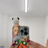 amablo006