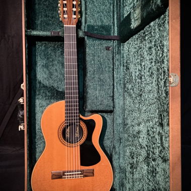 Guitare Chet Atkins Equipement Hervé Prudent