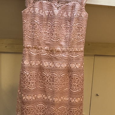 Pink Midi lace dress