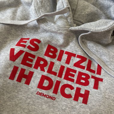 Hoodie DEMOND gris