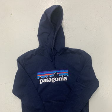 Hoodie Patagonia