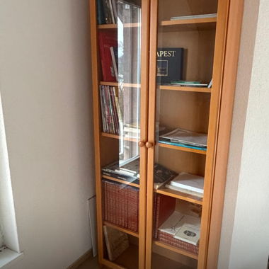 Vitrine/Bibliothek aus Holz mit Glastüren