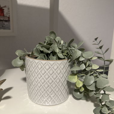 Plante d’eucalyptus artificielle avec pot