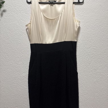 Robe fourreau sans manches PKNY