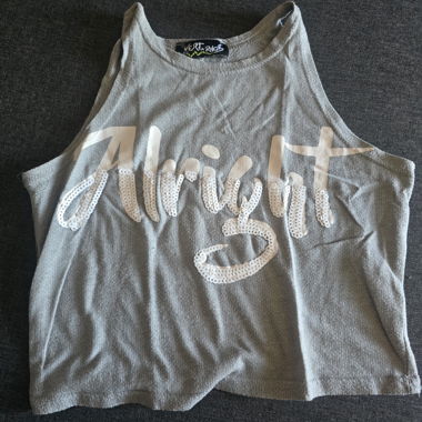 Grey Sequin Crop Top