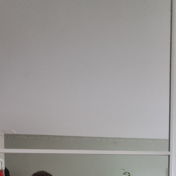 ainaa