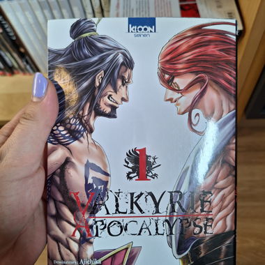 Valkyrie Apocalypse volumes 1 to 12