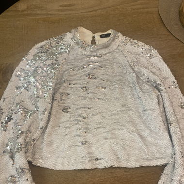 Zara blouse