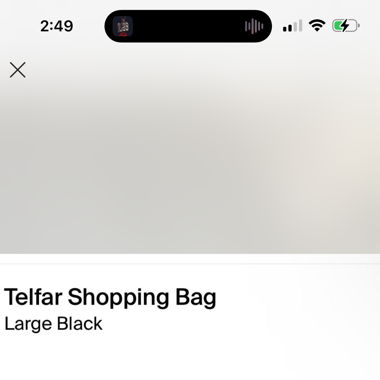 Telfar bag