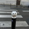 TRPVN_Store