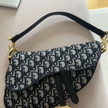 Dior Bag Satteltasche