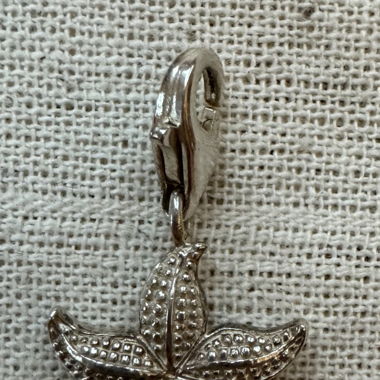 Charm argent Thomas Sabo 