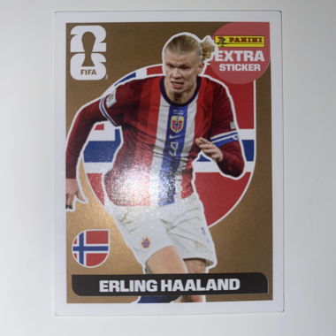 Erling Haaland Panini Sticker