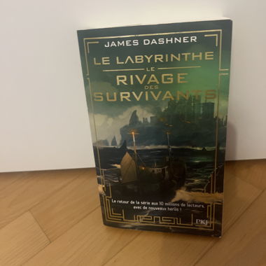Le labyrinthe 