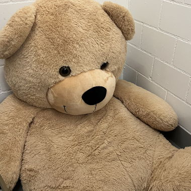 Grand ours en peluche