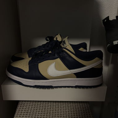Nike Dunk Low