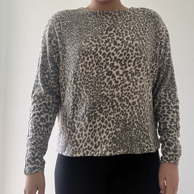 Leo Pulli