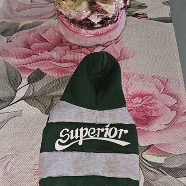 Sweat pour chien vert-gris à capuche