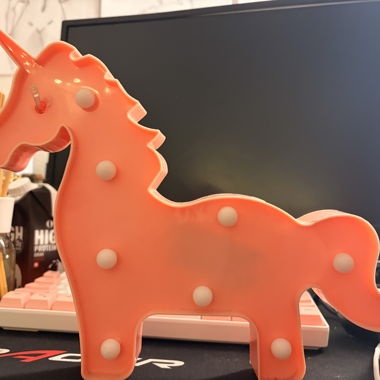 Unicorn LED Decoration