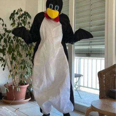 Costume da Pinguino per Halloween