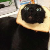 princessbread