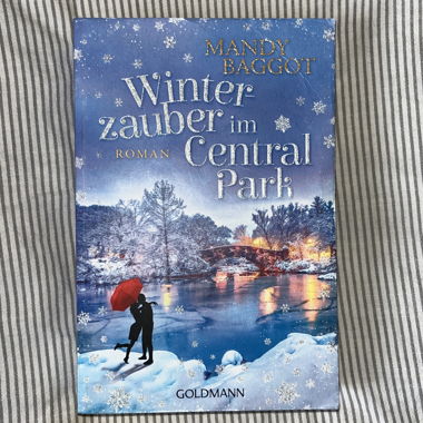 Winter Magic in Central Park - Mandy Baggot 