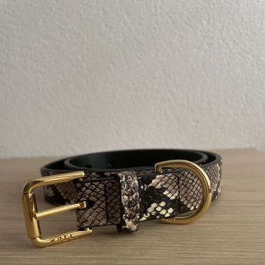 YSL Gürtel