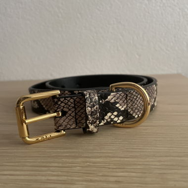 Ralph Lauren Gürtel in Schlangenoptik