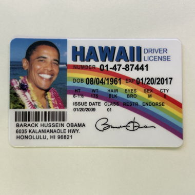 Patente hawaiana di Barack Obama (Falsa)