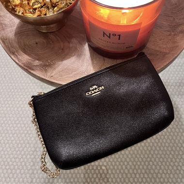 Coach-Tasche / Clutch / Wristlet