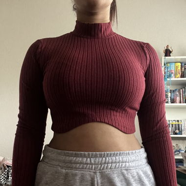 Rotes Crop top