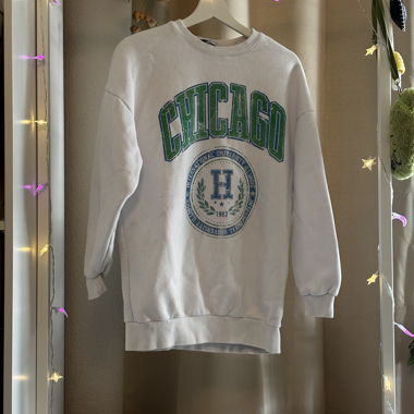 Chicago College Sweatshirt – Weiss – FB Sister