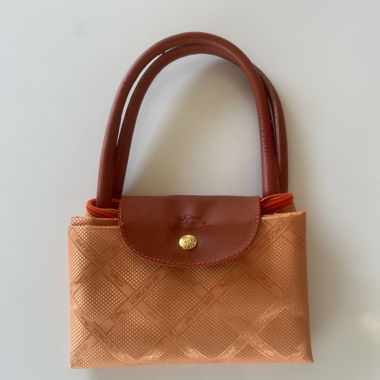 Longchamp Le Pliage M Bag