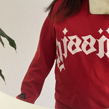Hässig Pulli