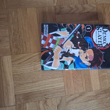 Tome 1 Demon slayer