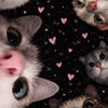 anouk_nia