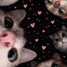 anouk_nia