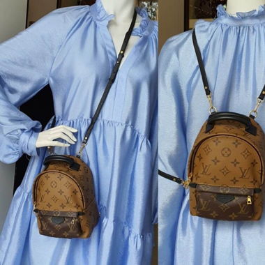 Louis Vuitton Palmsprings mini rucksack 