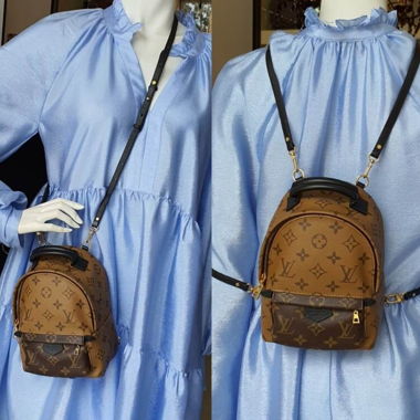 Louis Vuitton Palmsprings mini rucksack 