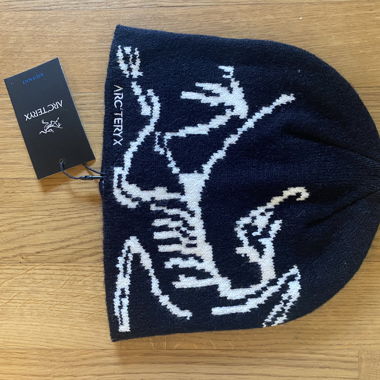 Arc'teryx beanie