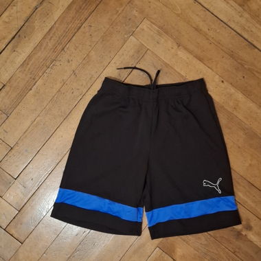Short Puma