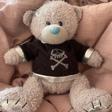 Ours en peluche Teddy