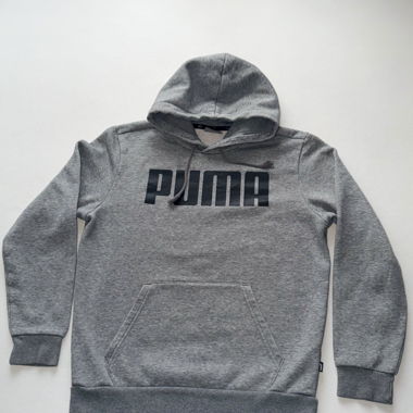 Felpa con cappuccio Puma grigia