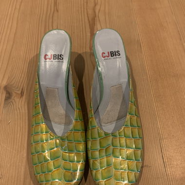 CJBIS Mules with Print