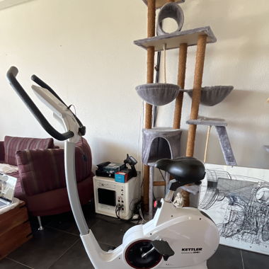 Cardio Fitness Fahrrad