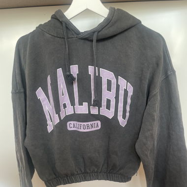 Crop Hoodie