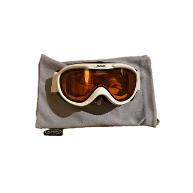 Alpina Ski-Brille