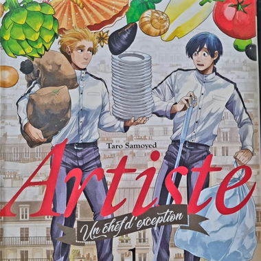 Livre manga Artiste