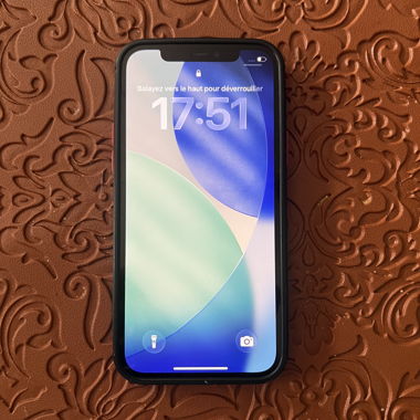 iPhone 12 Pro with Case
