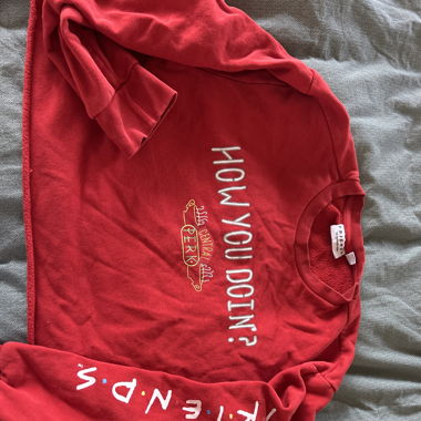 Friends  cropped sweater